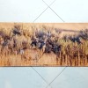Поддръжка - Подложка за почистване на оръжие Mule Deer (Елен) Buck Wildlife Gun Mat - Cerus Gear
