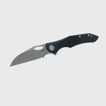Нож CH KNIVES Nighthawk D2 G-10 Black